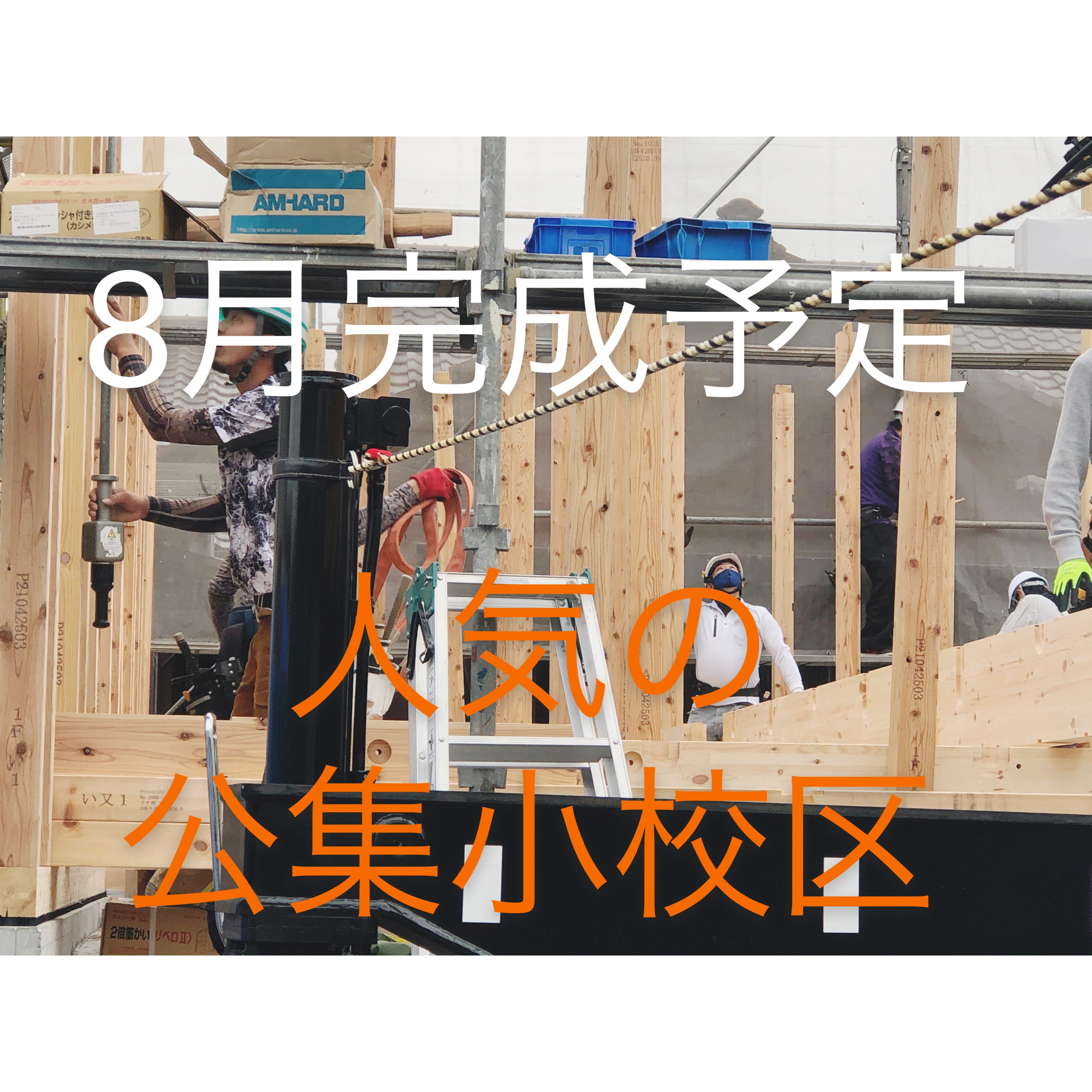 潮音町建売B　上棟